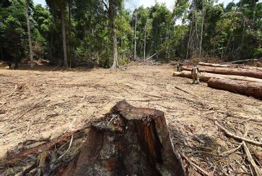 Amazon Deforestation