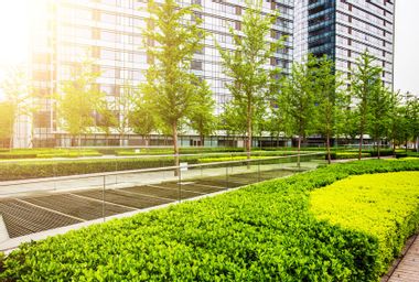 Green City Park