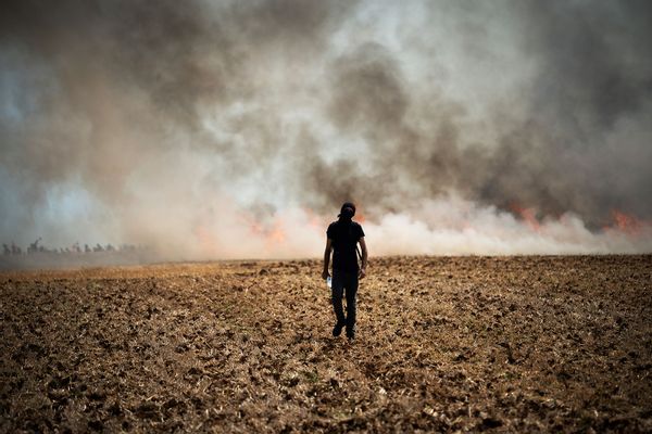Climate Protester walking towards a wildfire started by a launched tear gas canister