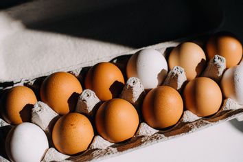 Eggs in a carton