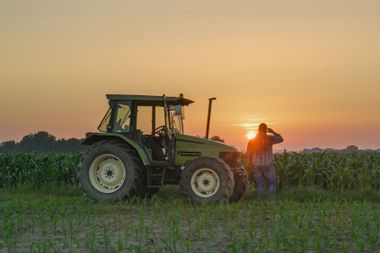 Farmer and tractor in corn field at sunset