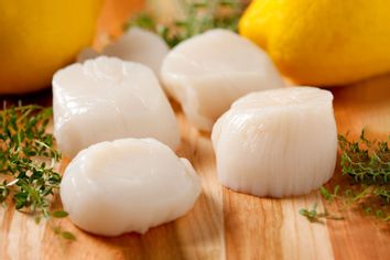 Fresh Sea Scallops