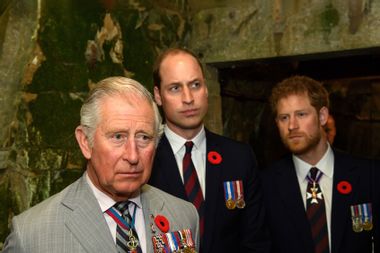 King Charles Princes William Harry