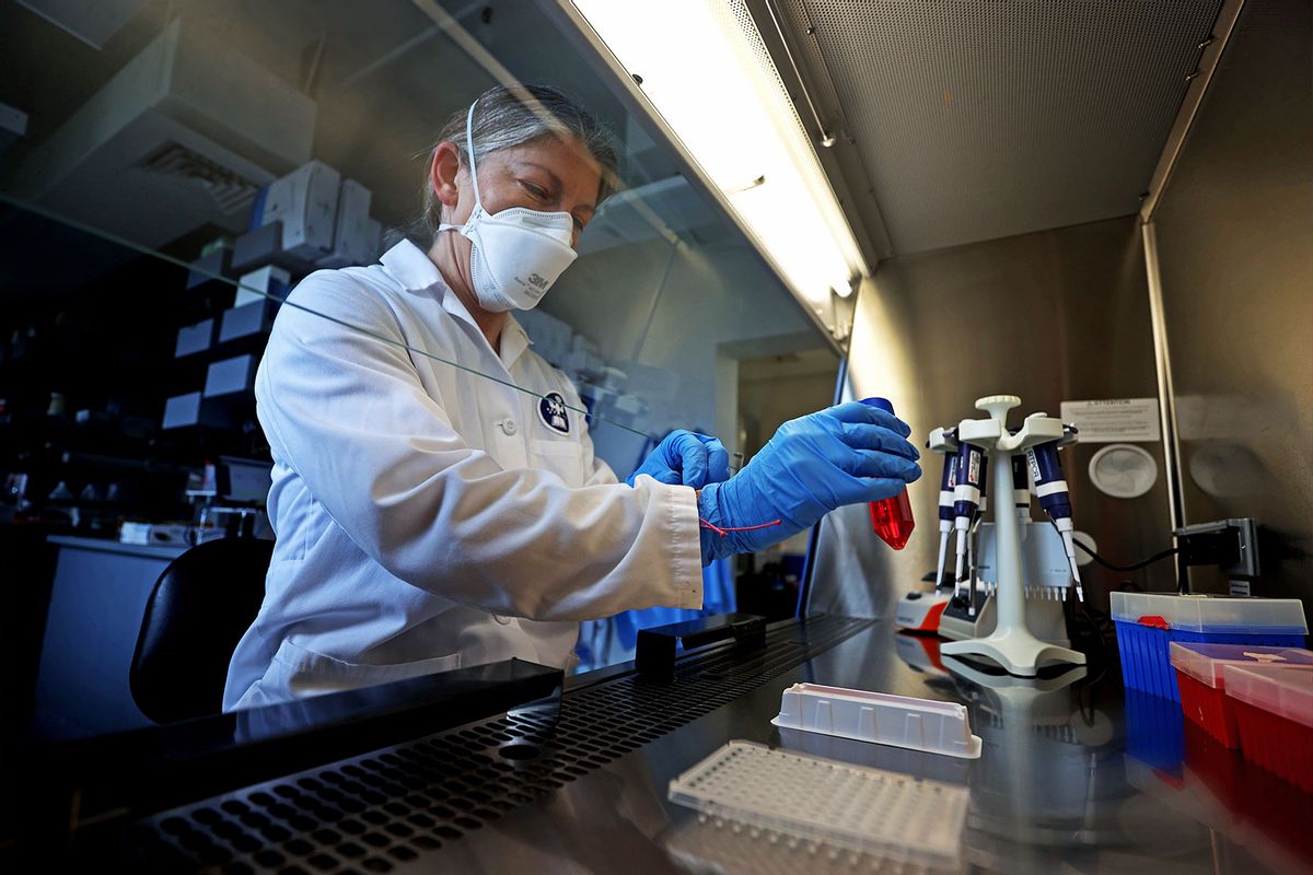 A virologist at the Cummings School of Veterinary Medicine at Tufts works in her lab, tracking the avian influenza virus. (David L. Ryan/The Boston Globe via Getty Images)