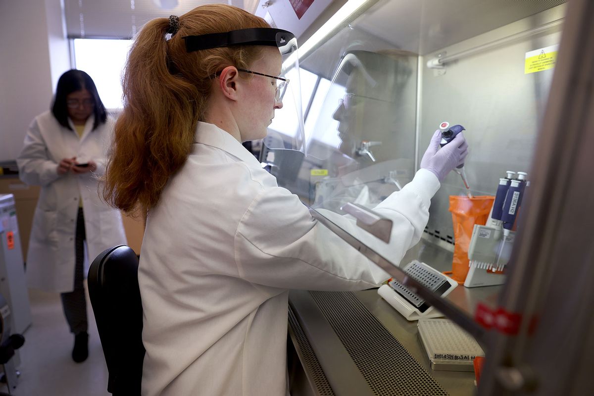 A microbiologist tests poultry samples collected from a farm located in a control area for the presence of avian influenza, or bird flu, at the Wisconsin Veterinary Diagnostic Laboratory at the University of Wisconsin-Madison on March 24, 2022 in Madison, Wisconsin. (Scott Olson/Getty Images)